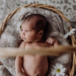 Newborn baby in a basket lined with soft grey blanket and daisies
