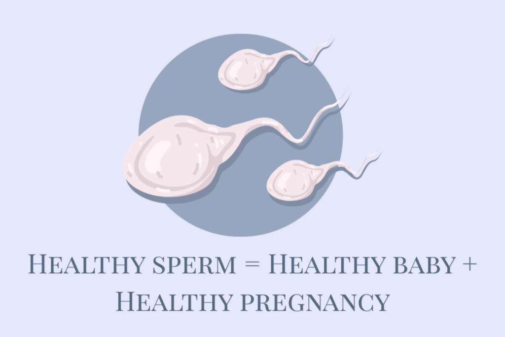 Sperm health affects baby and pregnancy