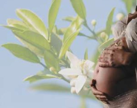 Doula of Belfast birth and postnatal package Doula of Belfast birth & postnatal Package: pregnant belly in front of orange blossoms