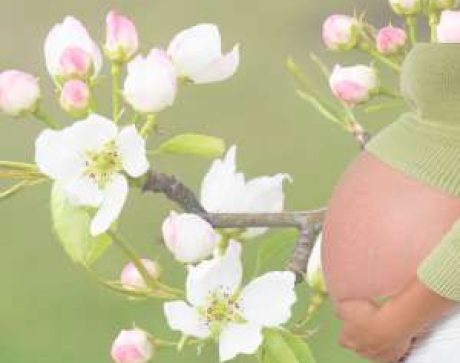 1 Doula of Belfast emergency birth Package: pregnant belly in green jumper in front of apple blossoms